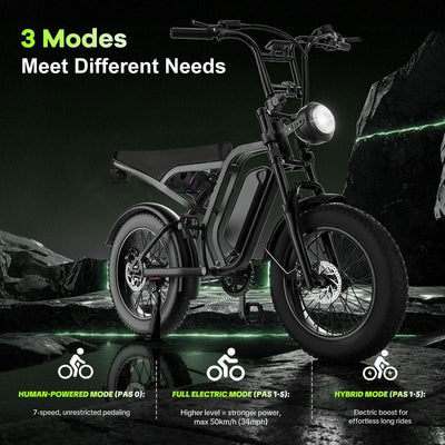 HIEHA Electric Bike