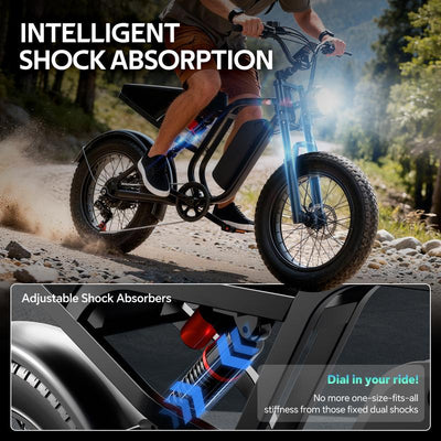 HIEHA Electric Bike