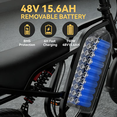 HIEHA Electric Bike